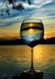 WINEJAY Image